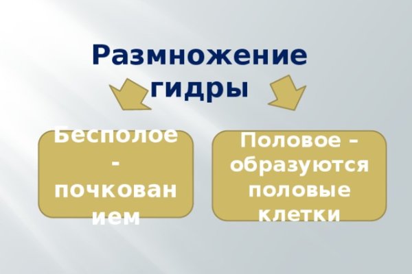 Кракен актуальная ссылка на сегодня